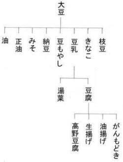 大豆加工食品4